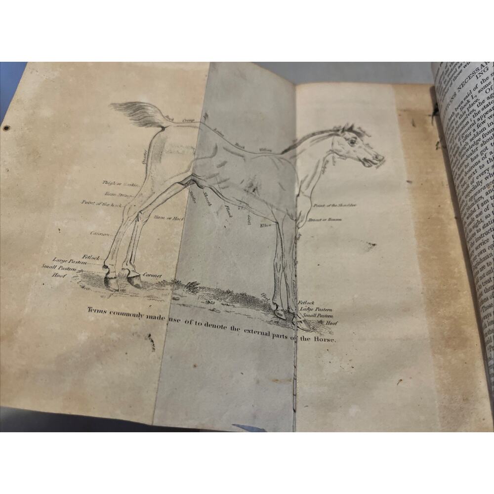 1834 Veterinary Surgeon: Or, Farriery Taught On a New and Easy Plan 4 Fold Outs - Picture 6 of 9